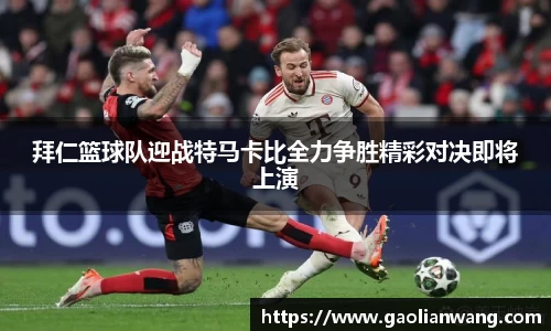 拜仁篮球队迎战特马卡比全力争胜精彩对决即将上演